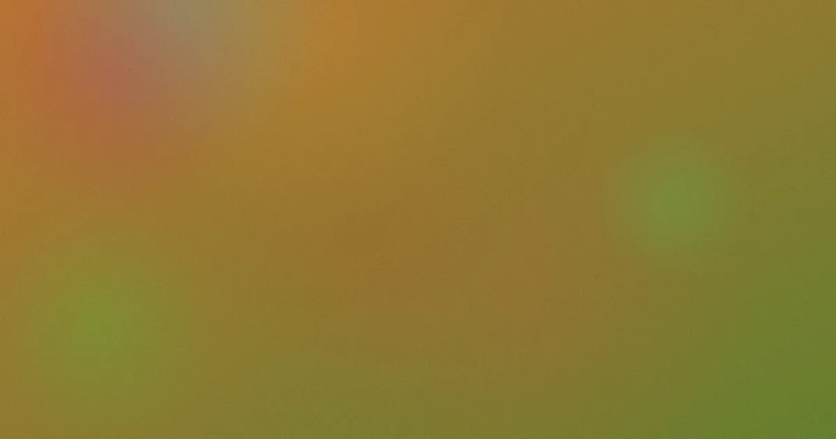 雷诺曼推荐：新手这样选